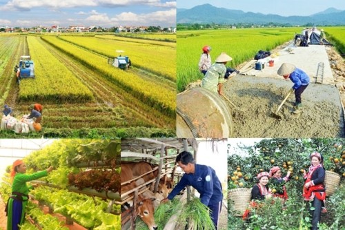 Thách thức mục tiêu quốc gia 2021-2025: Giải ngân chậm, tái nghèo đe dọa